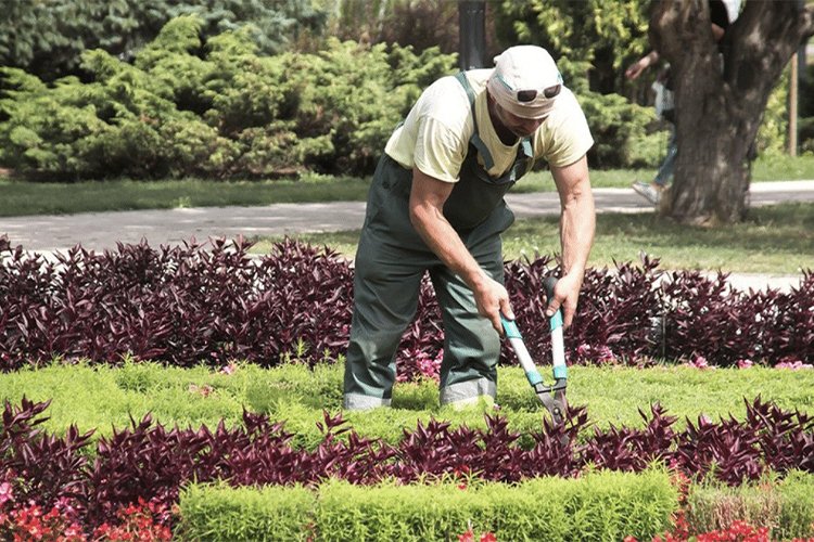 BEST GARDENING BUSINESS