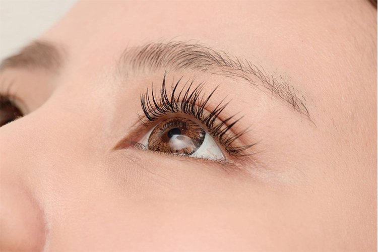 How to Grow your Eyelashes Naturally