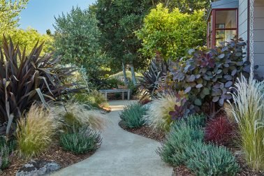 Gardening rends in 2023