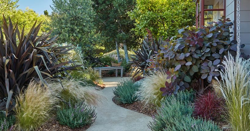 Gardening rends in 2023