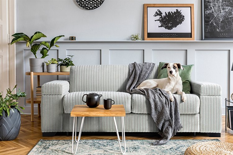 Forget the boring and old with these colorful living room ideas
